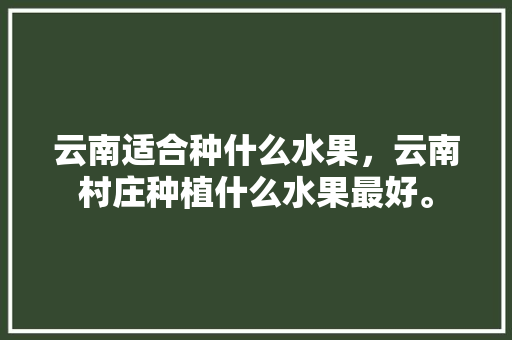 云南适合种什么水果，云南村庄种植什么水果最好。