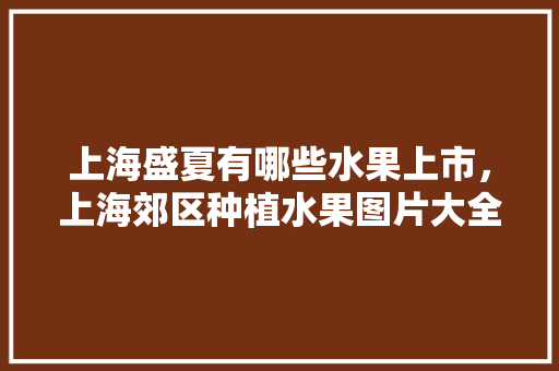 上海盛夏有哪些水果上市，上海郊区种植水果图片大全。