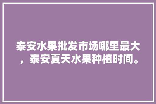 泰安水果批发市场哪里最大，泰安夏天水果种植时间。