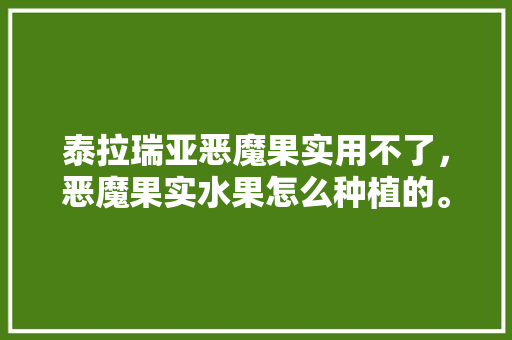 泰拉瑞亚恶魔果实用不了，恶魔果实水果怎么种植的。