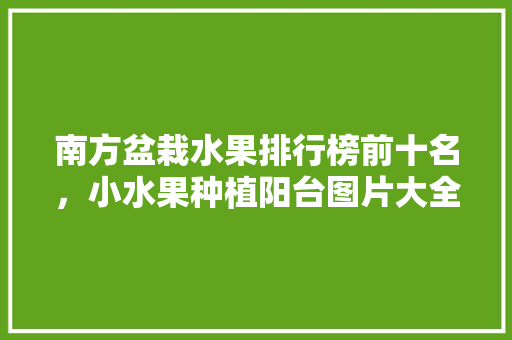 南方盆栽水果排行榜前十名，小水果种植阳台图片大全。