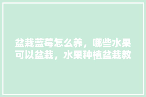 盆栽蓝莓怎么养，哪些水果可以盆栽，水果种植盆栽教程视频。 土壤施肥