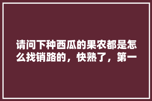 请问下种西瓜的果农都是怎么找销路的，快熟了，第一次种西瓜不懂，水果种植基地如何销路呢。