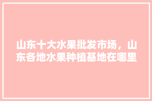 山东十大水果批发市场，山东各地水果种植基地在哪里。