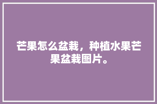 芒果怎么盆栽，种植水果芒果盆栽图片。