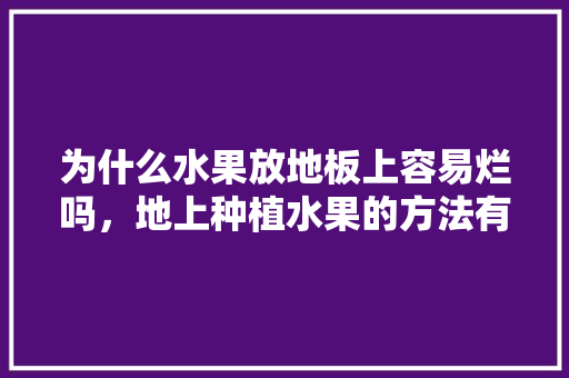 为什么水果放地板上容易烂吗，地上种植水果的方法有哪些。