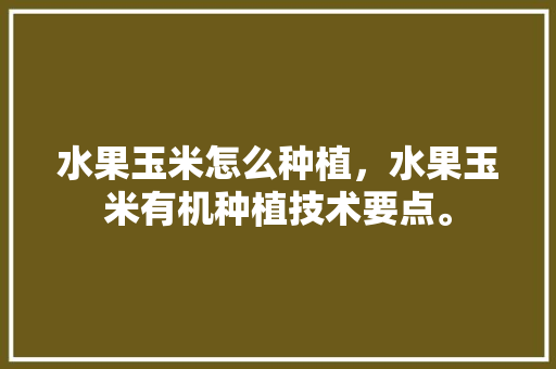 水果玉米怎么种植，水果玉米有机种植技术要点。