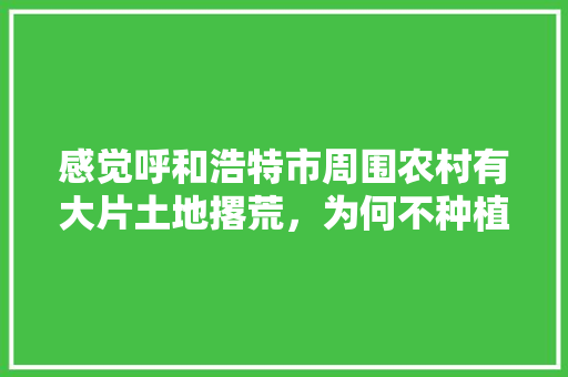 感觉呼和浩特市周围农村有大片土地撂荒，为何不种植蔬菜水果，种植水果卖不了怎么办。