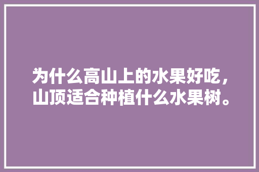 为什么高山上的水果好吃，山顶适合种植什么水果树。