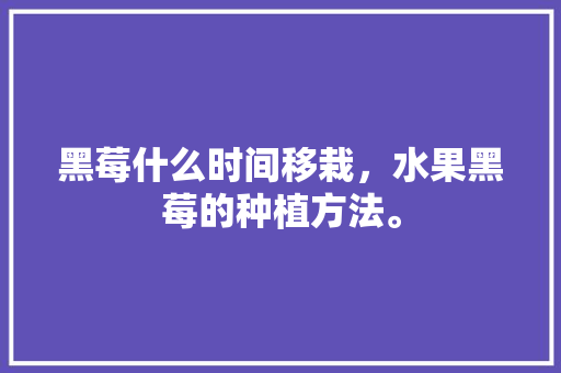 黑莓什么时间移栽，水果黑莓的种植方法。