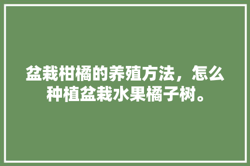 盆栽柑橘的养殖方法，怎么种植盆栽水果橘子树。