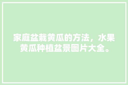 家庭盆栽黄瓜的方法，水果黄瓜种植盆景图片大全。