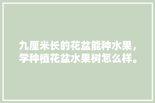 九厘米长的花盆能种水果，学种植花盆水果树怎么样。 土壤施肥