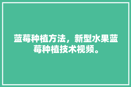 蓝莓种植方法，新型水果蓝莓种植技术视频。