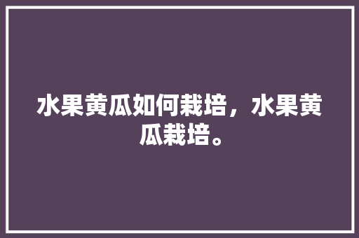 水果黄瓜如何栽培，水果黄瓜栽培。