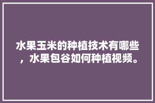 水果玉米的种植技术有哪些，水果包谷如何种植视频。