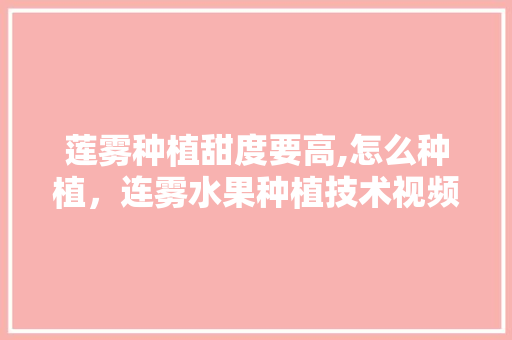 莲雾种植甜度要高,怎么种植，连雾水果种植技术视频。