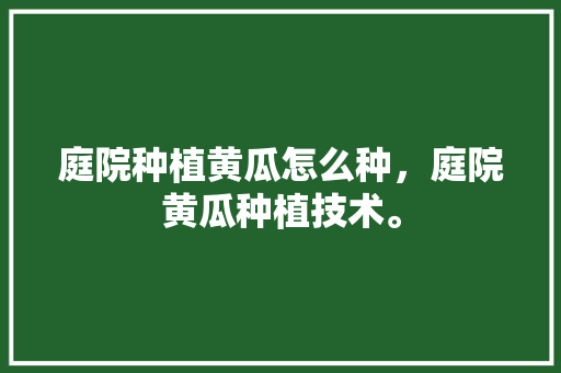 庭院种植黄瓜怎么种，庭院黄瓜种植技术。