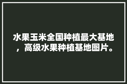 水果玉米全国种植最大基地，高级水果种植基地图片。