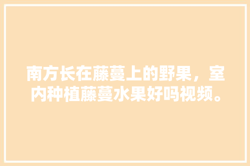 南方长在藤蔓上的野果，室内种植藤蔓水果好吗视频。