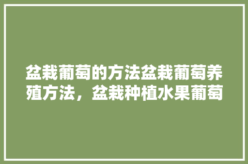 盆栽葡萄的方法盆栽葡萄养殖方法，盆栽种植水果葡萄好吗。