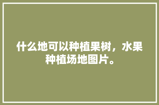 什么地可以种植果树，水果种植场地图片。