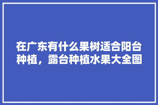 在广东有什么果树适合阳台种植，露台种植水果大全图片。