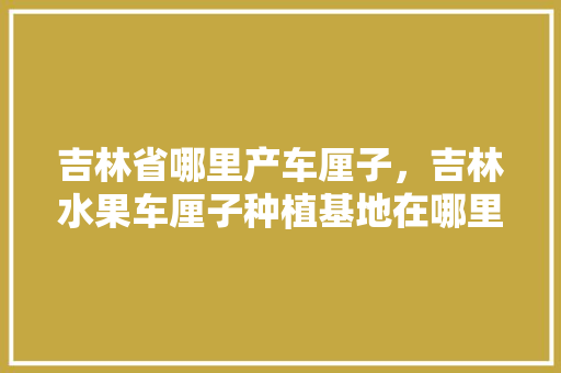 吉林省哪里产车厘子，吉林水果车厘子种植基地在哪里。