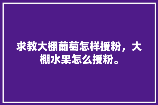 求教大棚葡萄怎样授粉，大棚水果怎么授粉。