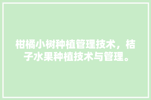 柑橘小树种植管理技术，桔子水果种植技术与管理。