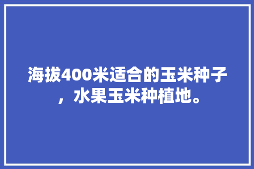 海拔400米适合的玉米种子，水果玉米种植地。