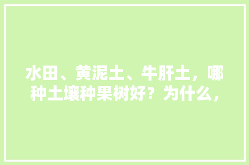 水田、黄泥土、牛肝土，哪种土壤种果树好？为什么，适合黄土种植水果有哪些。