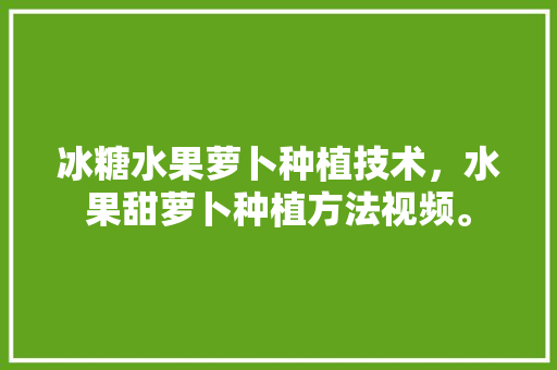 冰糖水果萝卜种植技术，水果甜萝卜种植方法视频。