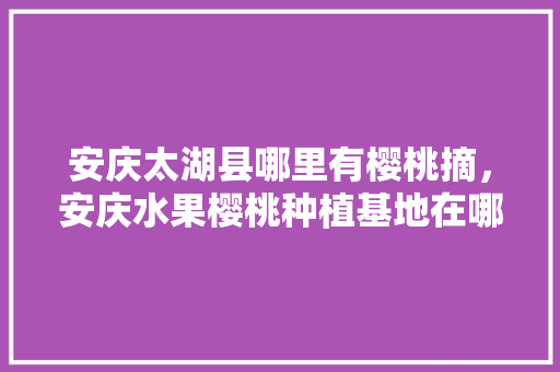 安庆太湖县哪里有樱桃摘，安庆水果樱桃种植基地在哪里。