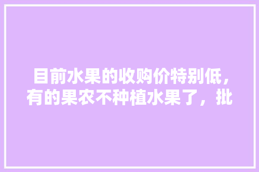 目前水果的收购价特别低，有的果农不种植水果了，批发商也没有钱挣了，消费者也吃不起水果了，以后会变成什么样，气温偏低种植的水果有哪些。