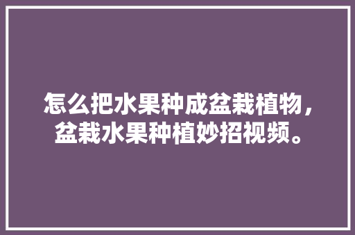 怎么把水果种成盆栽植物，盆栽水果种植妙招视频。