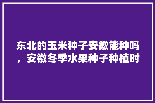 东北的玉米种子安徽能种吗，安徽冬季水果种子种植时间。