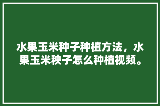 水果玉米种子种植方法，水果玉米秧子怎么种植视频。