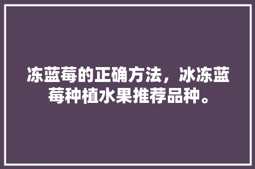 冻蓝莓的正确方法，冰冻蓝莓种植水果推荐品种。