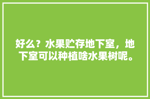 好么？水果贮存地下室，地下室可以种植啥水果树呢。