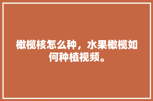 橄榄核怎么种，水果橄榄如何种植视频。