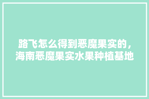 路飞怎么得到恶魔果实的，海南恶魔果实水果种植基地。