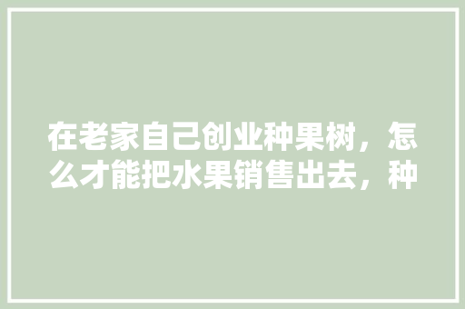 在老家自己创业种果树，怎么才能把水果销售出去，种植户水果交易流程。