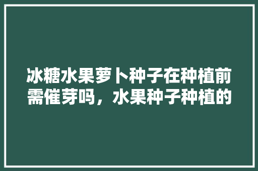 冰糖水果萝卜种子在种植前需催芽吗，水果种子种植的技术要点。