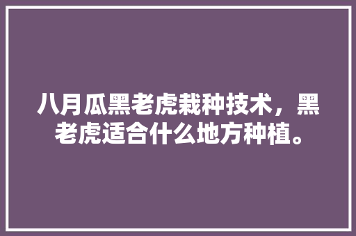 八月瓜黑老虎栽种技术，黑老虎适合什么地方种植。