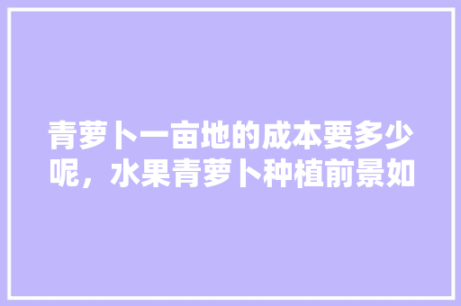 青萝卜一亩地的成本要多少呢，水果青萝卜种植前景如何。