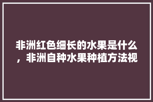 非洲红色细长的水果是什么，非洲自种水果种植方法视频。