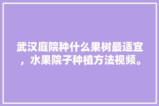 武汉庭院种什么果树最适宜，水果院子种植方法视频。