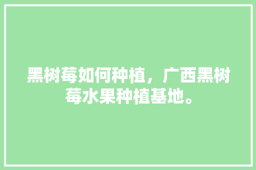 黑树莓如何种植，广西黑树莓水果种植基地。 水果种植