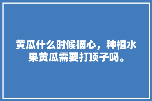 黄瓜什么时候摘心，种植水果黄瓜需要打顶子吗。 土壤施肥